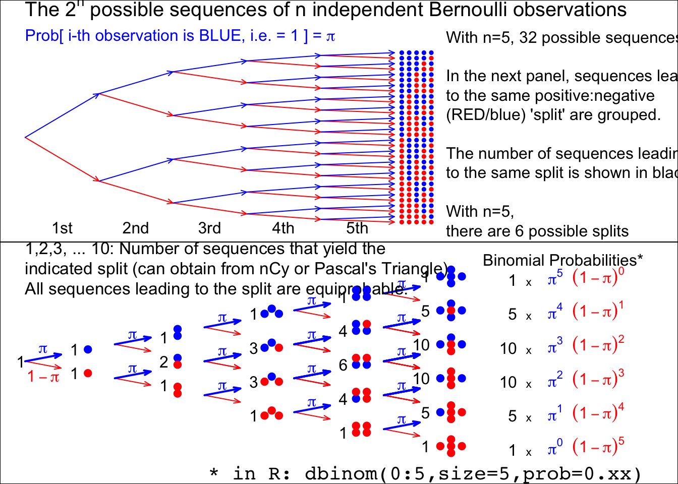 From 5 (independent and identically distributed) Bernoulli observations to Binomial(n=5), with the Bernoulli probability left unspecified. There are 2 to the power n possible (distinct) sequences of 0's and 1's, each with its probability. We are not interested in these 2 to the power n probabilities, but in the probability that the sample  contains y 1's and (n-y) 0's. There are only (n+1) possibilities for y, namely 0 to n. Fortunately, each of the n.choose.y sequences that lead to the same sum or count y, has the same probability. So we group the 2.to.power.n sequences into (n+1) sets, according to the sum or count. Each sequence in the set with  y 1's and (n-y) 0's has the same probability, namely  the prob.to.the.power.y times (1-prob).to.the.power.(n-y). Thus, in lieu of adding all such probabilities, we simply multiply this  probability by the number, n.choose-y -- shown in black -- of unique sequences in the set. Check: the frequencies in black add to 2.to.power.n. Nowadays, the (n+1) probabilities are easily obtained by supplying a value for the 'prob' argument in the R function dbinom(), instead of  computing the binomial coefficient n.choose-y by hand.