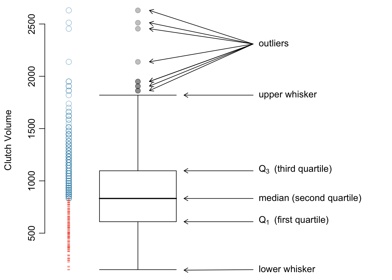 A boxplot and dot plot of `clutch.volume`. The horizontal dashes indicate the bottom 50% of the data and the open circles represent the top 50%.