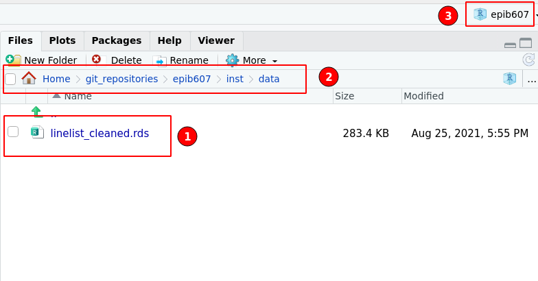 The sub-folder containing the data I want to load. (1) linelist_cleaned.rds is the data file. (2) The path of the directory as would be seen in a file management application such as Finder (on a mac) or Windows Explorer. (3) Indicator that I am indeed in the RStudio project called epib607.